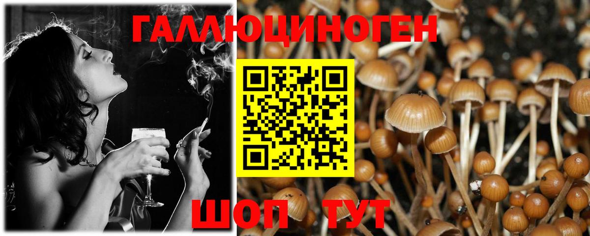 Псилоцибиновые грибы Magic Shrooms Набережные Челны